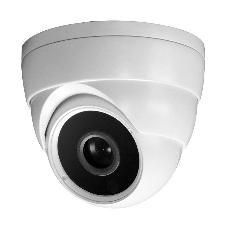 IP Fixed Lens Camera