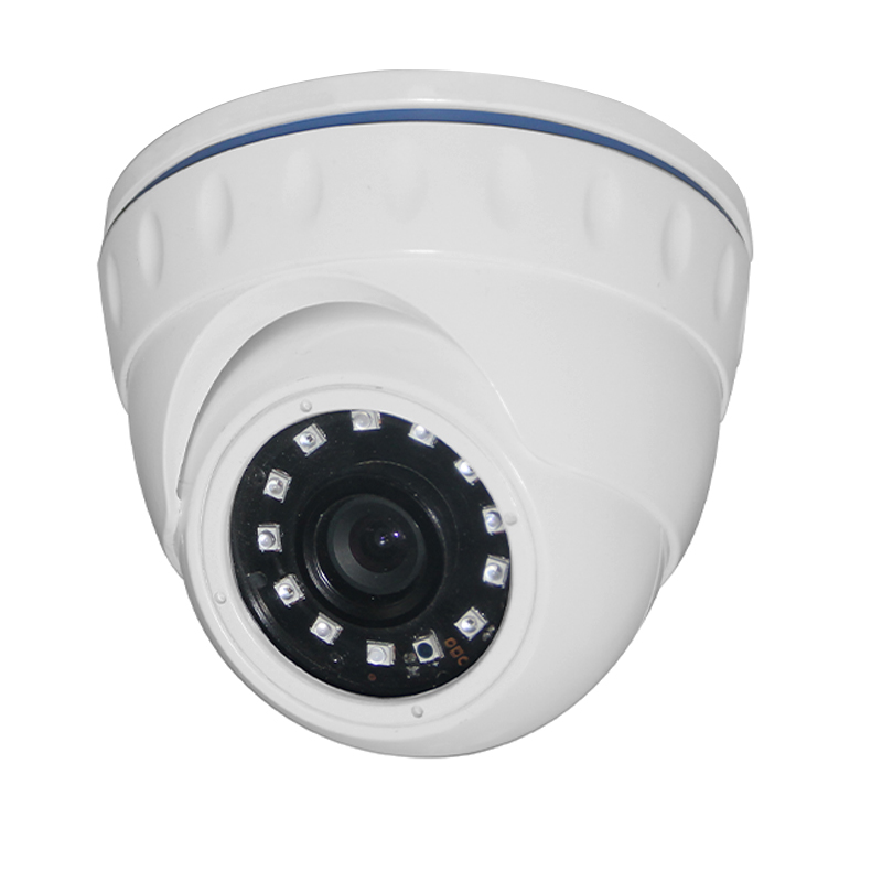 IP Fixed Lens Camera