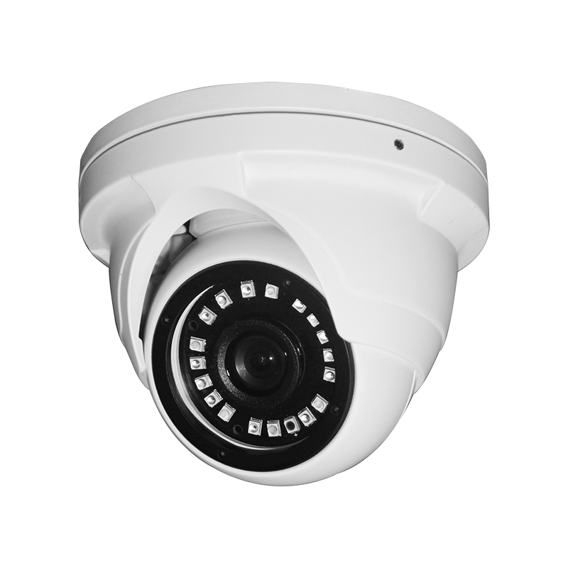 IP Fixed Lens Camera