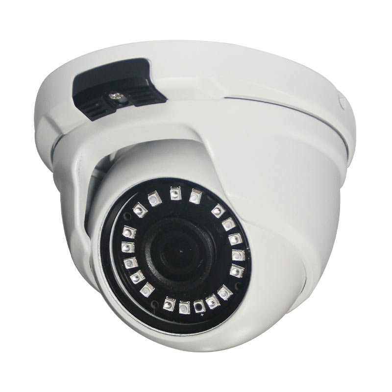 IP Fixed Lens Camera