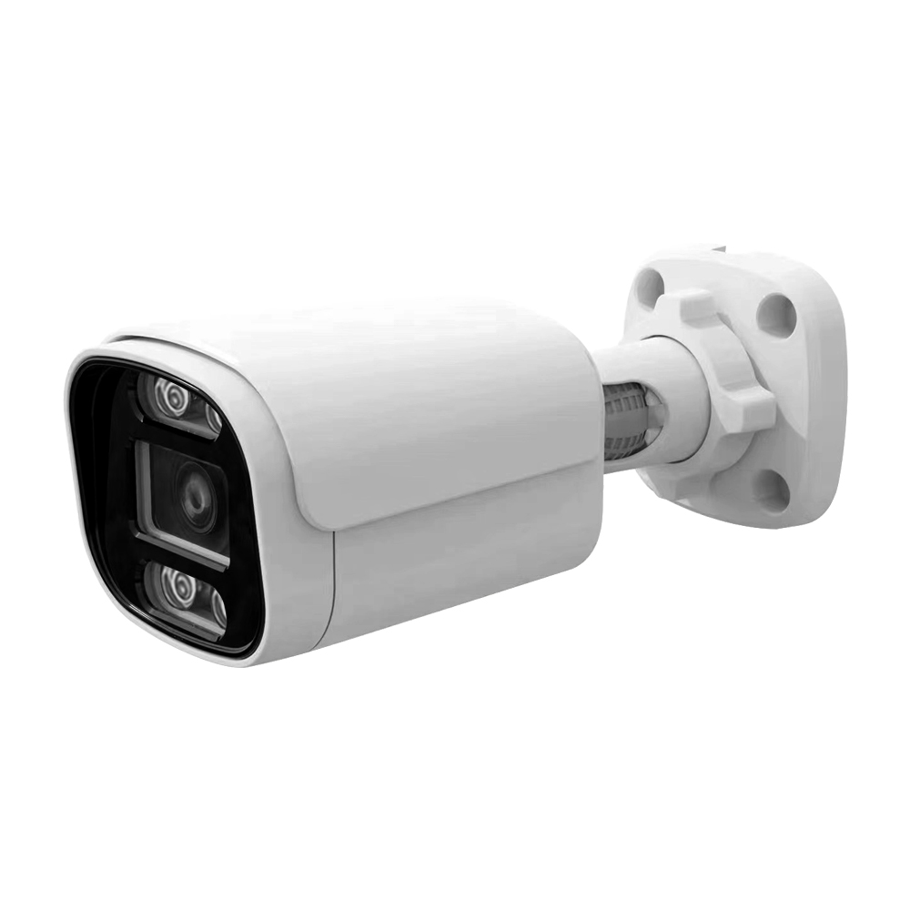 IP Fixed Lens Camera