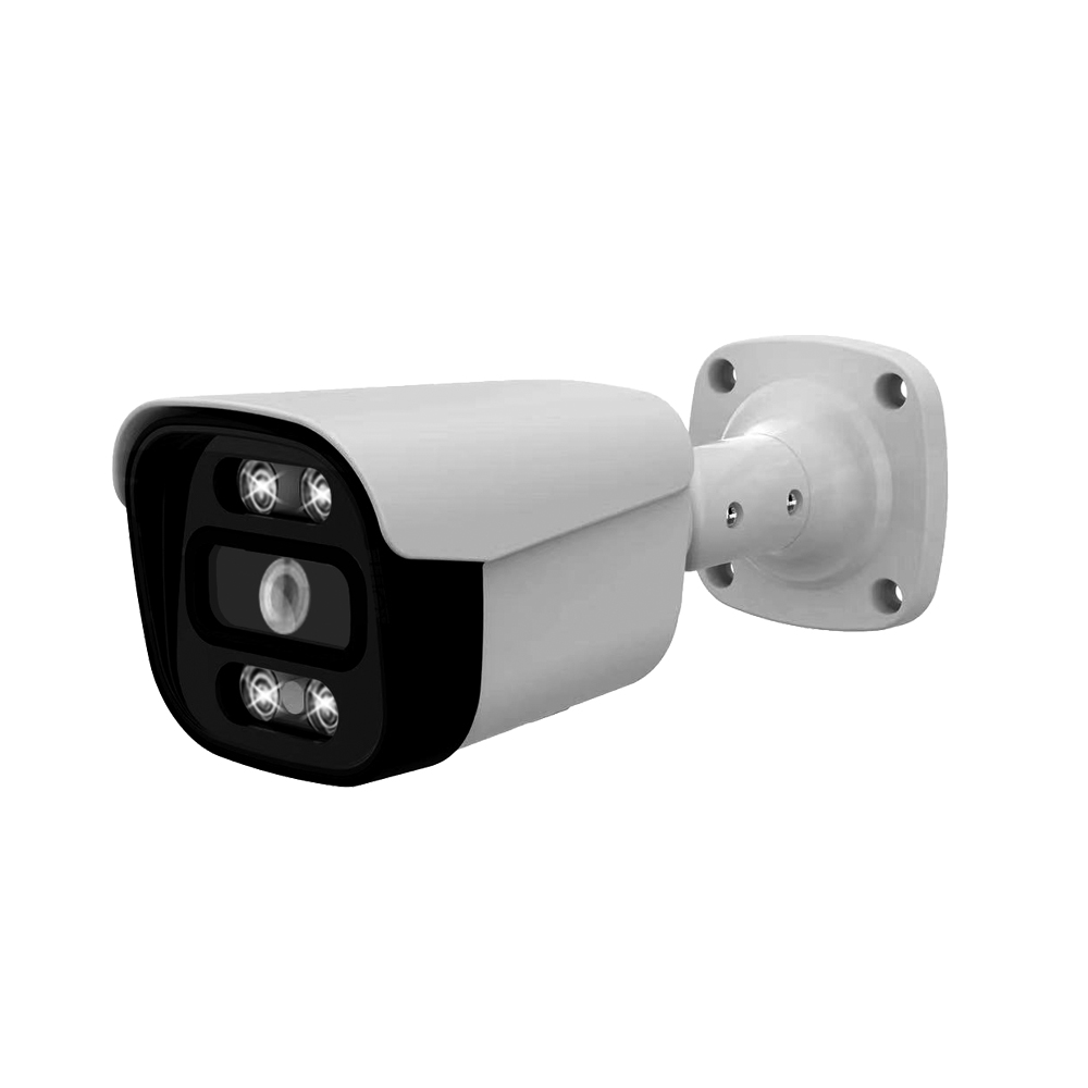 IP Fixed Lens Camera