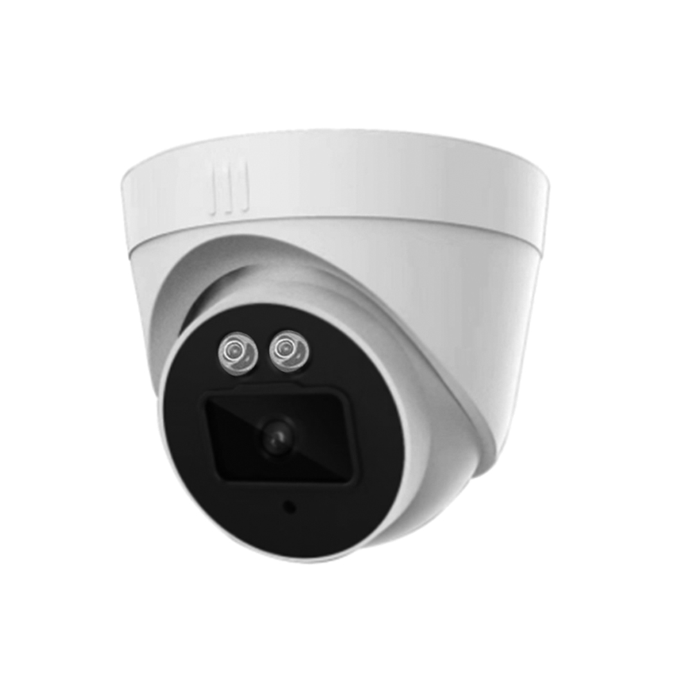 IP Fixed Lens Camera