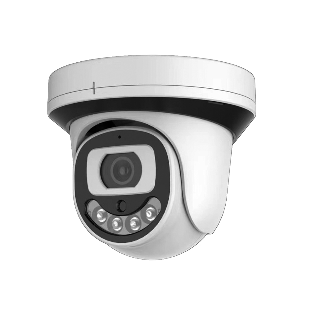 IP Fixed Lens Camera