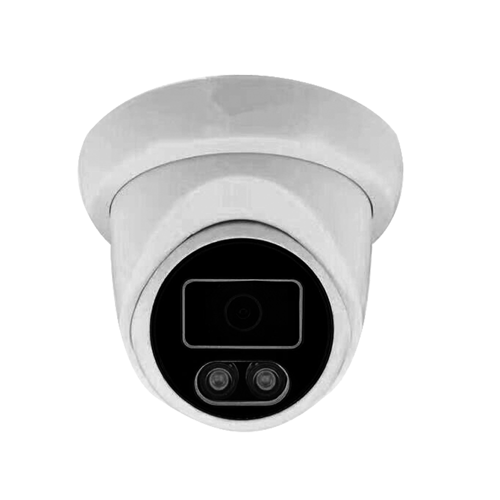 IP Fixed Lens Camera