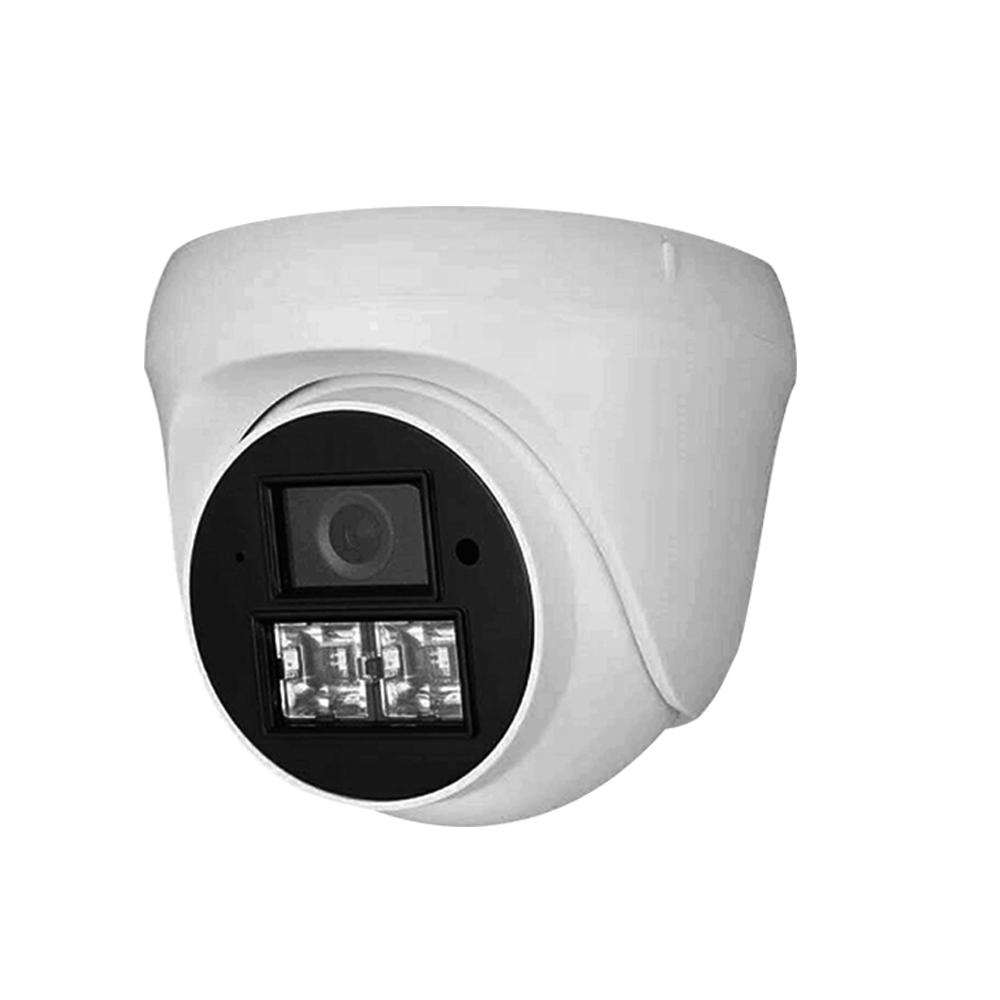 IP Fixed Lens Camera