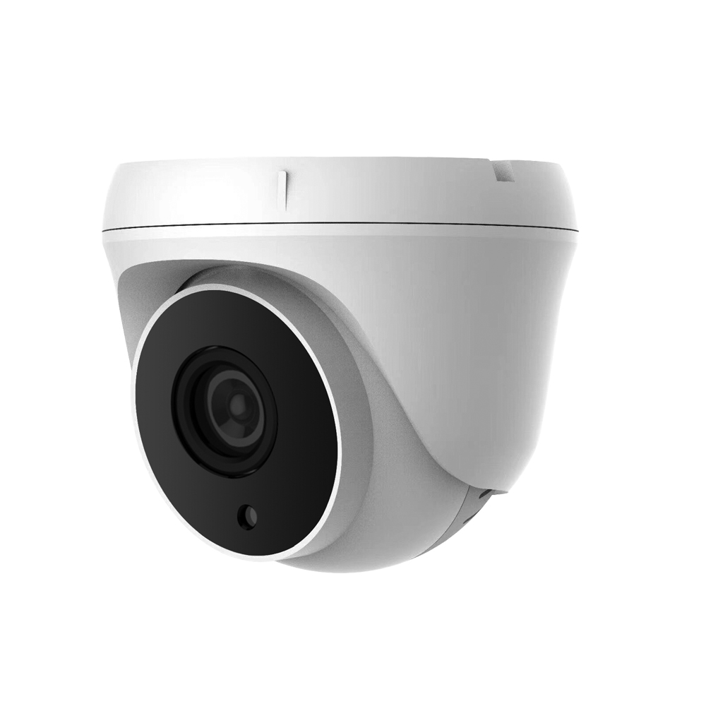 IP Fixed Lens Camera