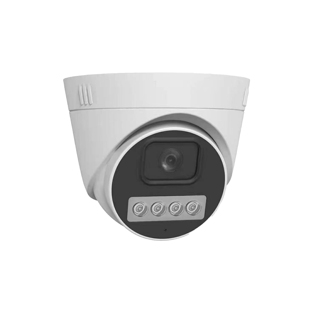 IP Fixed Lens Camera